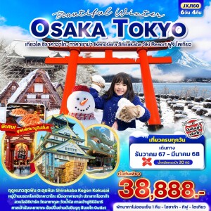 Beautiful Winter OSAKA TOKYO เกียวโต ชิราคาวาโกะ ทาคายาม่า Ikenotaira Shirakaba Ski Resort ฟูจิ โตเกียว 6วัน 4คืน