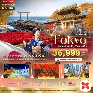 BT-NRT_A02_XJ ญี่ปุ่น 5 วัน 3 คืน โตเกียว มหัศจรรย์...TOKYO อิบารากิ นิกโก้ ซากามิโกะ