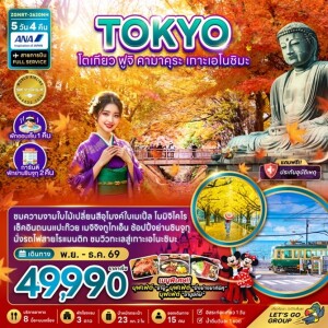 ZGNRT-2620NH ญี่ปุ่น 5 วัน 4 คืน โตเกียว ฟูจิ คามาคุระ เกาะเอโนชิมะ ชมใบไม้เปลี่ยนสี (พักชินจูกุ 2 คืน)