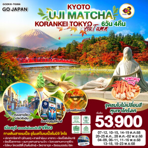 GO2KIX-TG066 ทัวร์ญี่ปุ่น เกียวโต อุจิ โครันเคโตเกียว 6วัน 4คืน