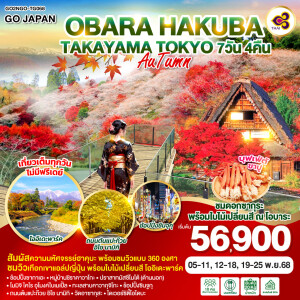 GO2NGO-TG068 ทัวร์ญี่ปุ่น โอบาระ ฮะคุบะ ทะกะยะมะ โตเกียว 7วัน 4คืน