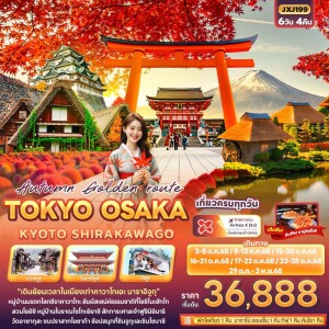 JXJ199 ทัวร์ญี่ปุ่น โตเกียว โอซาก้า เกียวโต ชิราคาวาโกะ 6วัน 4คืน