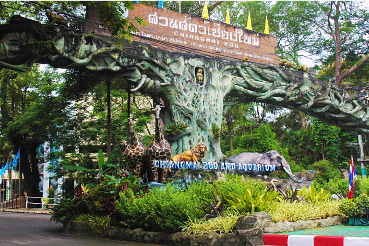 Chiang Mai Zoo บัตรเข้าชมสวนสัตว์เชียงใหม่