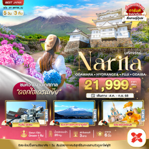 NRT06_XJ ทัวร์ญี่ปุ่น นาริตะ โอดาวาระ ไฮเดรนเยีย ฟูจิ โอไดบะ 5 วัน 3 คืน