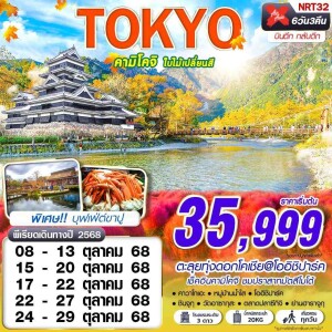 NRT32 ทัวร์ญี่ปุ่น โตเกียว คาวาโกเอะ คามิโคจิ 6วัน 3คืน