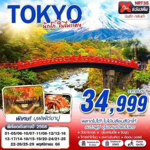 NRT35 ทัวร์ญี่ปุ่น โตเกียว นิกโก้ 5วัน 3คืน