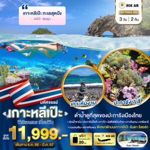 ทัวร์เกาะหลีเป๊ะ 3 วัน 2 คืน สตูล เกาะหินงาม ปะการัง 7 สี ดำน้ำดูที่สุดของปะการังเมืองไทย