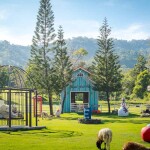 Royal Good View Resort and Farm (โรยัล กู๊ดวิว รีสอร์ท แอนด์ ฟาร์ม) ห้อง villa 1 Bed room 2 ท่าน , สวนผึ้ง