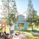 Royal Good View Resort and Farm (โรยัล กู๊ดวิว รีสอร์ท แอนด์ ฟาร์ม) ห้อง villa 1 Bed room 2 ท่าน , สวนผึ้ง