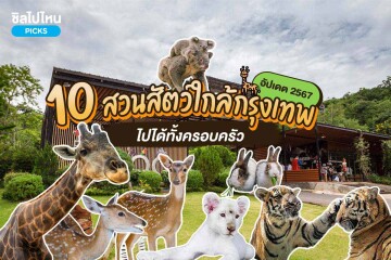 10 สวนสัตว์ใกล้กรุงเทพฯ พาเด็กๆไปหาน้องหมูเด้งกัน อัปเดตใหม่ 2567