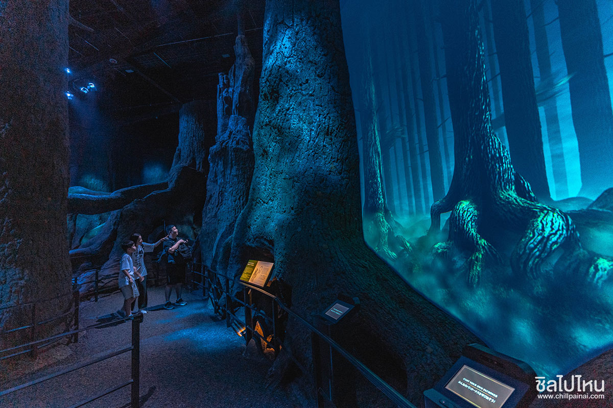 รีวิวทัวร์ญี่ปุ่น 5 วัน 3 คืน โตเกียว ฟูจิ Harry Potter Studio Tour จ่าย 3 หมื่นต้นๆ ได้อะไรบ้างไปดูกัน