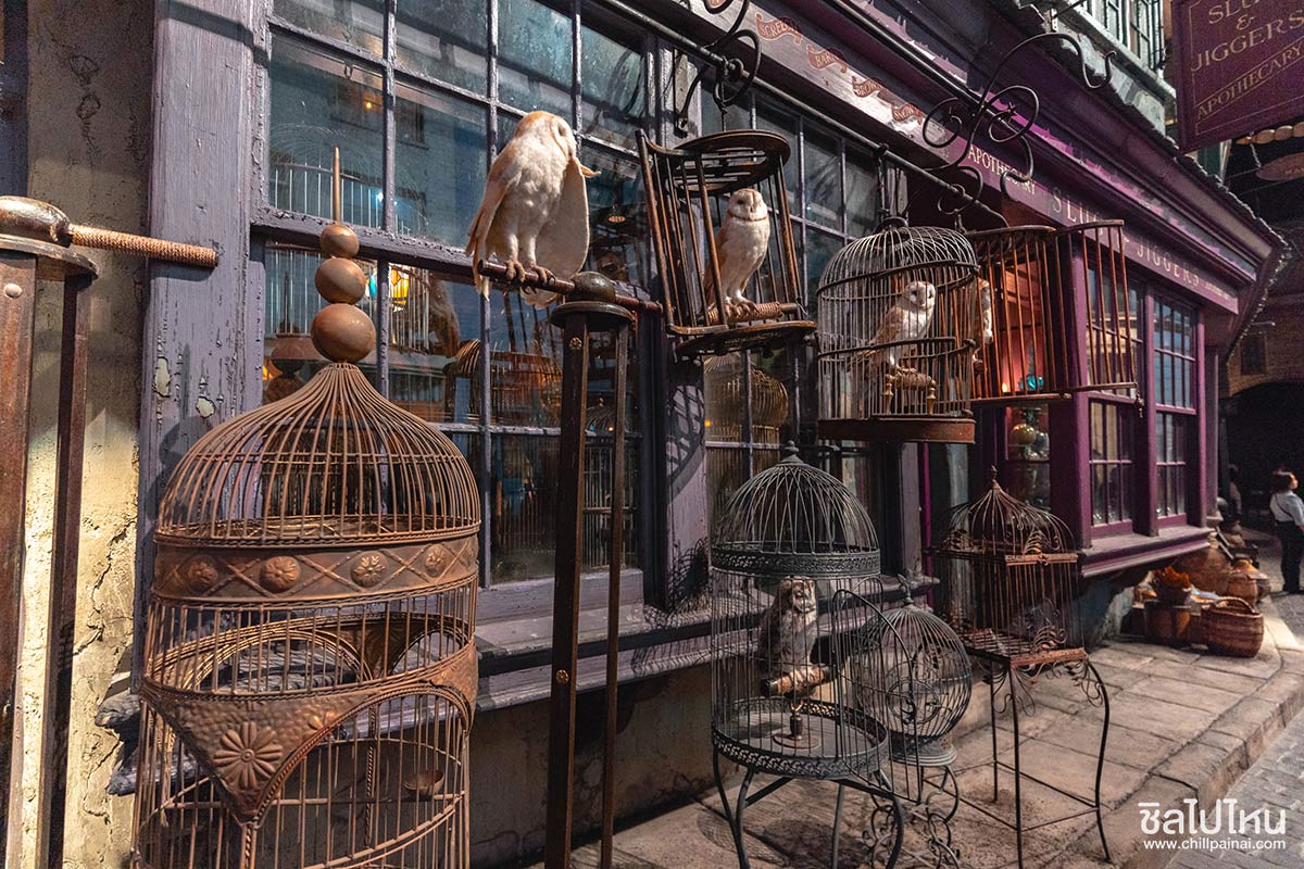 รีวิวทัวร์ญี่ปุ่น 5 วัน 3 คืน โตเกียว ฟูจิ Harry Potter Studio Tour จ่าย 3 หมื่นต้นๆ ได้อะไรบ้างไปดูกัน