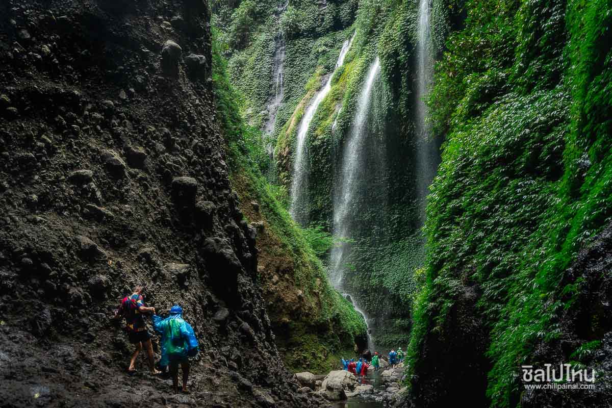 ทริป 5 วัน 4 คืน อินโดนีเซีย ตะลุยภูเขาไฟโบรโม่ ชมเปลวไฟสีน้ำเงินคาวาอีเจี้ยน