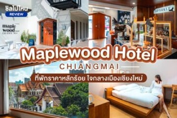 Maplewood Hotel Chiangmai  ที่พักราคาหลักร้อย ใจกลางเมืองเชียงใหม่