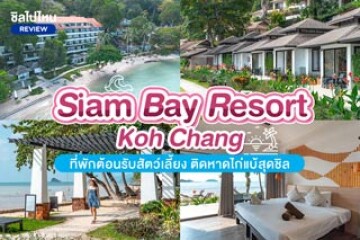Siam Bay Resort Koh Chang (สยามเบย์ รีสอร์ท เกาะช้าง) ที่พักต้อนรับสัตว์เลี้ยง ติดหาดไก่แบ้สุดชิล