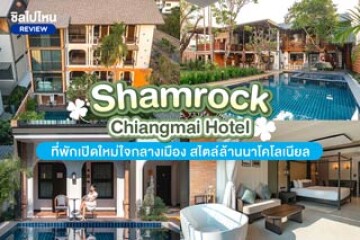 Shamrock Chiangmai Hotel (โรงแรมแชมร็อค เชียงใหม่) ที่พักเปิดใหม่ใจกลางเมือง สไตล์ล้านนาโคโลเนียล