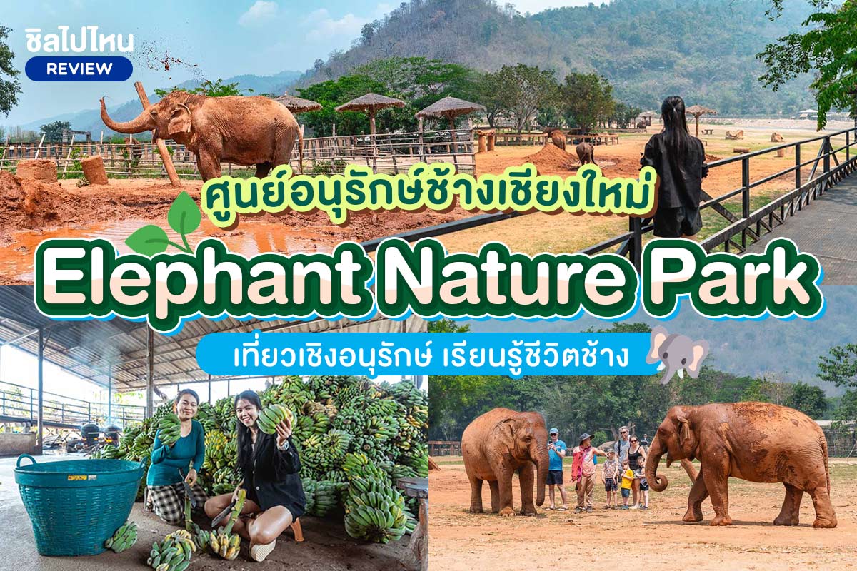 ElephantNaturePark800