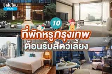 10 ที่พักสวยสุดหรูในกรุงเทพ ต้อนรับสัตว์เลี้ยงหมาแมวพักได้ ปี 2567  (Luxury Chained Brand Hotel)