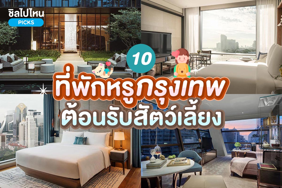 10 ที่พักสวยสุดหรูในกรุงเทพ ต้อนรับสัตว์เลี้ยงหมาแมวพักได้ ปี 2567  (Luxury Chained Brand Hotel)