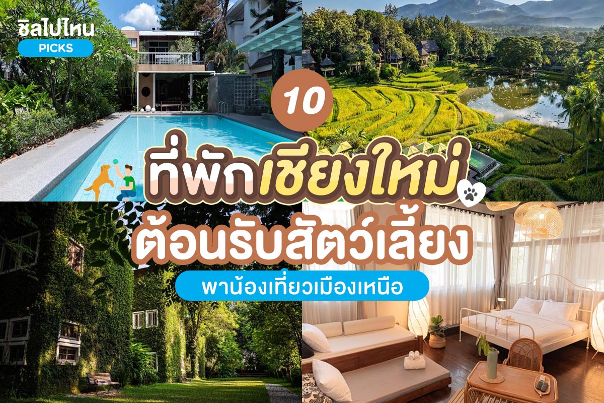 10hotelpetchiangmai800