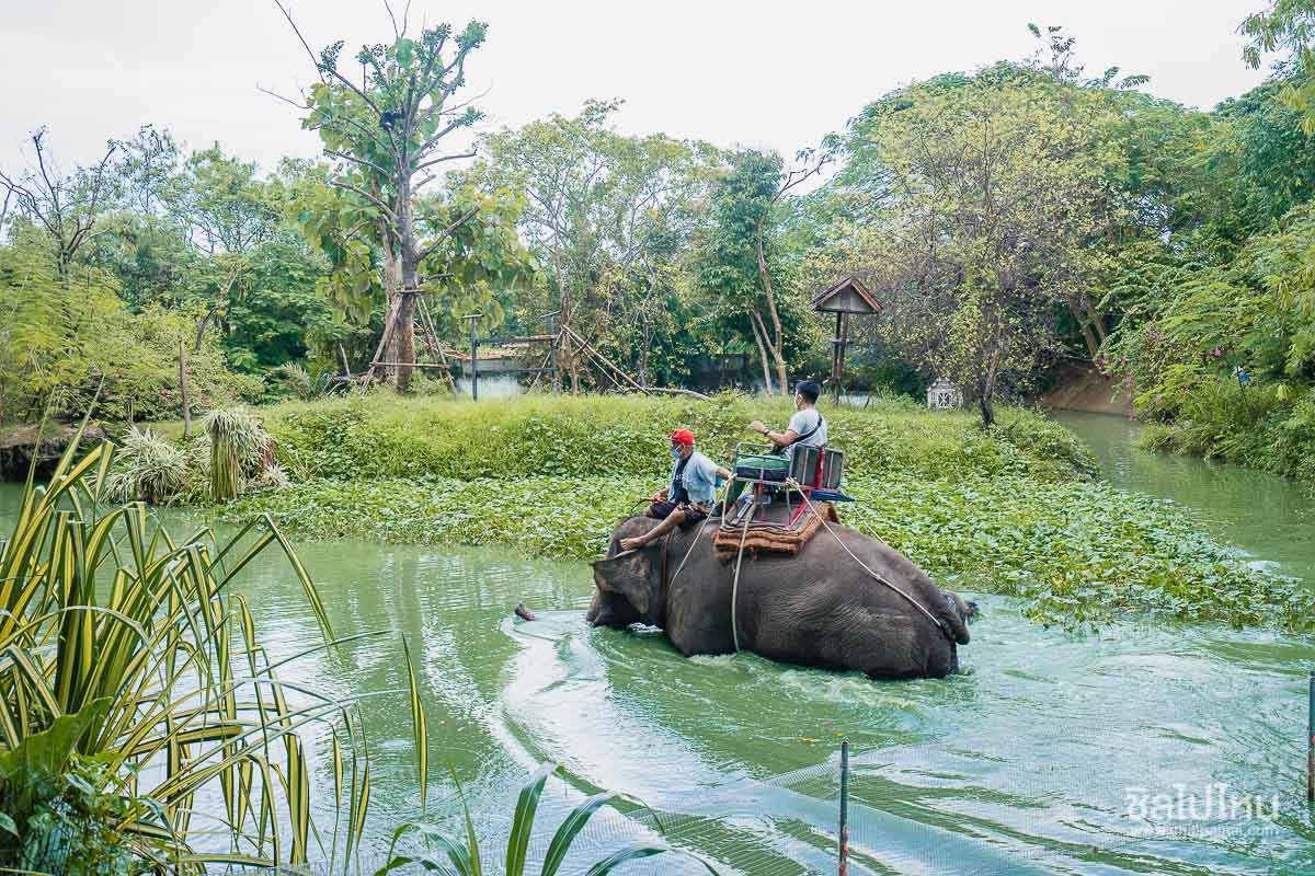 20 ที่เที่ยวพัทยาสุดฮิต ไปพัทยาเที่ยวไหนดี? อัปเดตใหม่ 2567