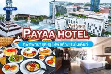 โรงแรมพาญา พัทยา (Payaa Hotel) ที่พักพัทยาสุดหรู ให้ฟีลค้างแรมในเต้นท์ อาหารเช้าอร่อย