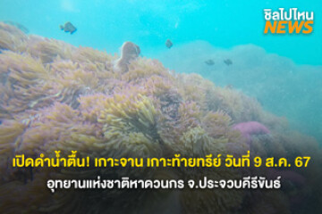 เปิดดำน้ำตื้น! เกาะจาน เกาะท้ายทรีย์ วันที่ 9 ส.ค. 67 เป็นต้นไป อุทยานแห่งชาติหาดวนกร จ.ประจวบคีรีขันธ์