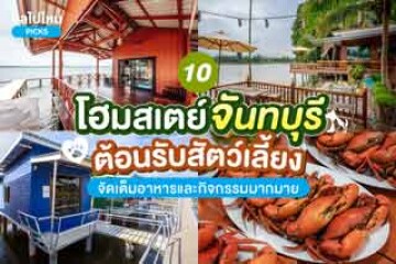 10 โฮมสเตย์จันทบุรี ต้อนรับสัตว์เลี้ยง ไปกินปู ดูเหยี่ยว พร้อมสนุกกับกิจกรรมให้สุดเหวี่ยง อัปเดตปี 2567