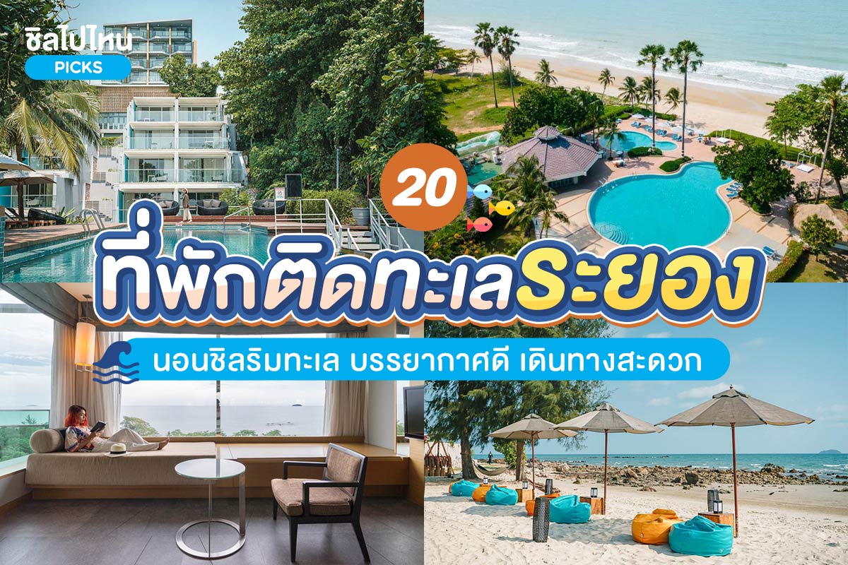 rayong800