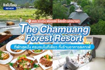 The Chamuang Forest Resort (เดอะ ชะมวง ฟอเรสต์ รีสอร์ท) ที่พักนครนายกสุดปัง ครบจบในที่เดียว ทั้งร้านอาหาร&คาเฟ่