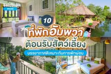 10 ที่พักอัมพวาสัตว์เลี้ยงเข้าพักได้ บรรยากาศดีเหมาะกับการพักผ่อน อัปเดตใหม่ 2567