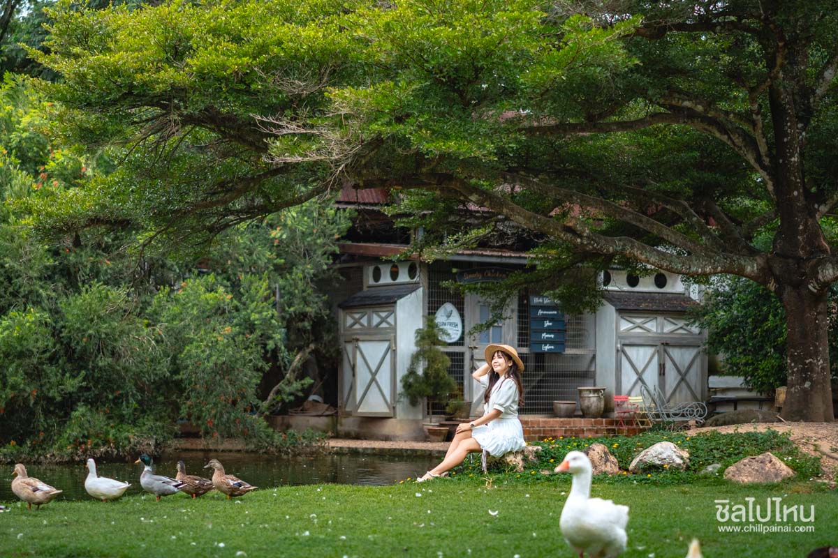 The Scenery Vintage Farm (เดอะ ซีนเนอรี่ วินเทจ ฟาร์ม) สวนผึ้ง ที่พักและที่เที่ยวสไตล์ฟาร์มสุดน่ารักเหมาะกับครอบครัว