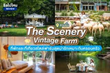 The Scenery Vintage Farm (เดอะ ซีนเนอรี่ วินเทจ ฟาร์ม) สวนผึ้ง ที่พักและที่เที่ยวสไตล์ฟาร์มสุดน่ารักเหมาะกับครอบครัว