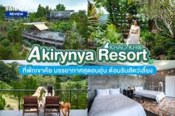 Akirynya Resort (อคีรีณยา รีสอร์ท) ที่พักเขาค้อ บรรยากาศสุดอบอุ่น ต้อนรับสัตว์เลี้ยง