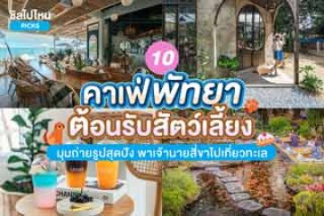 10 คาเฟ่พัทยา ต้อนรับสัตว์เลี้ยง มุมถ่ายรูปสุดปัง อัปเดต 2567