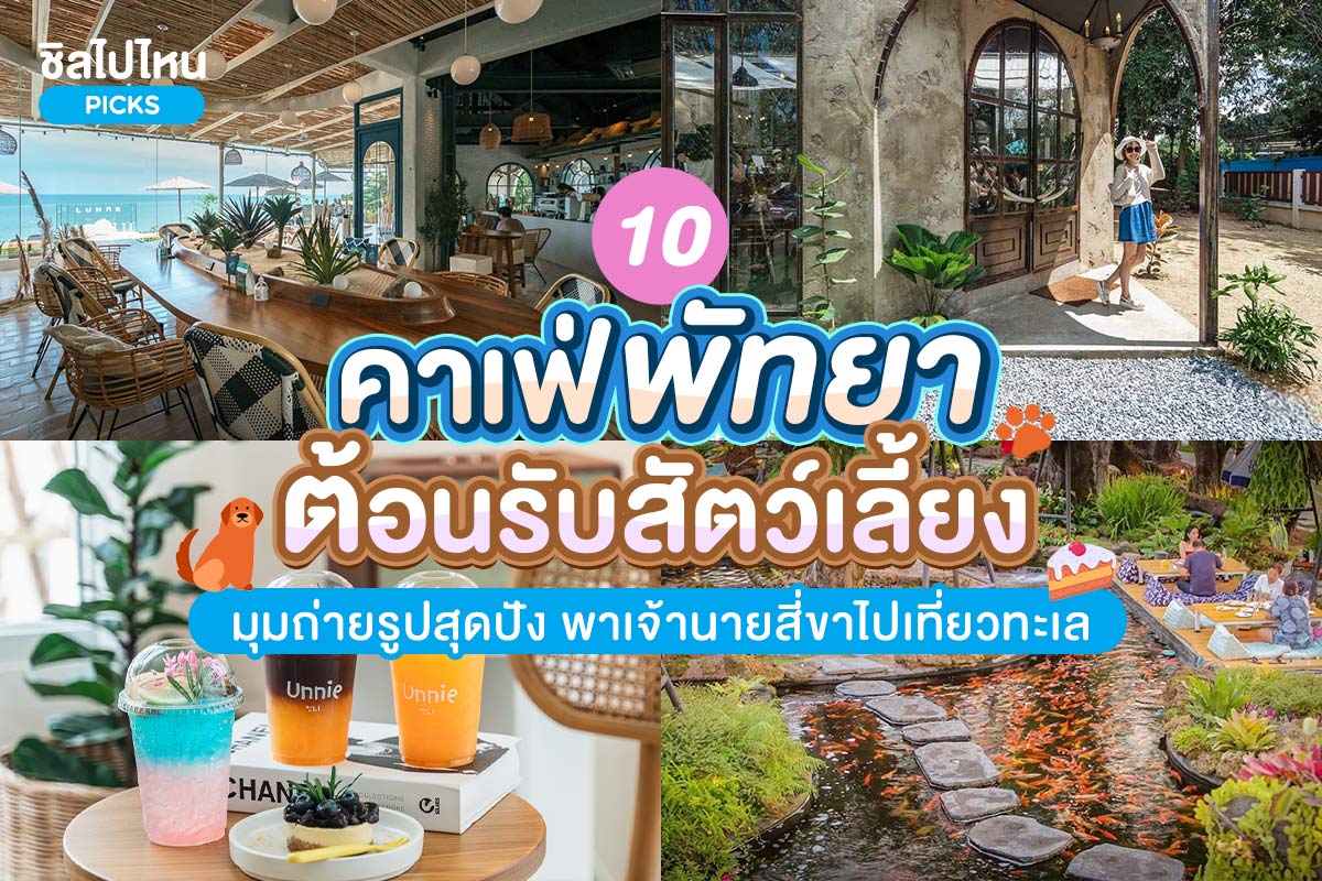 10cafepetpattaya800