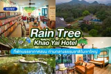 Rain Tree Khao Yai (โรงแรมเรนทรี เขาใหญ่) ที่พักบรรยากาศสงบ ท่ามกลางธรรมชาติในเขาใหญ่