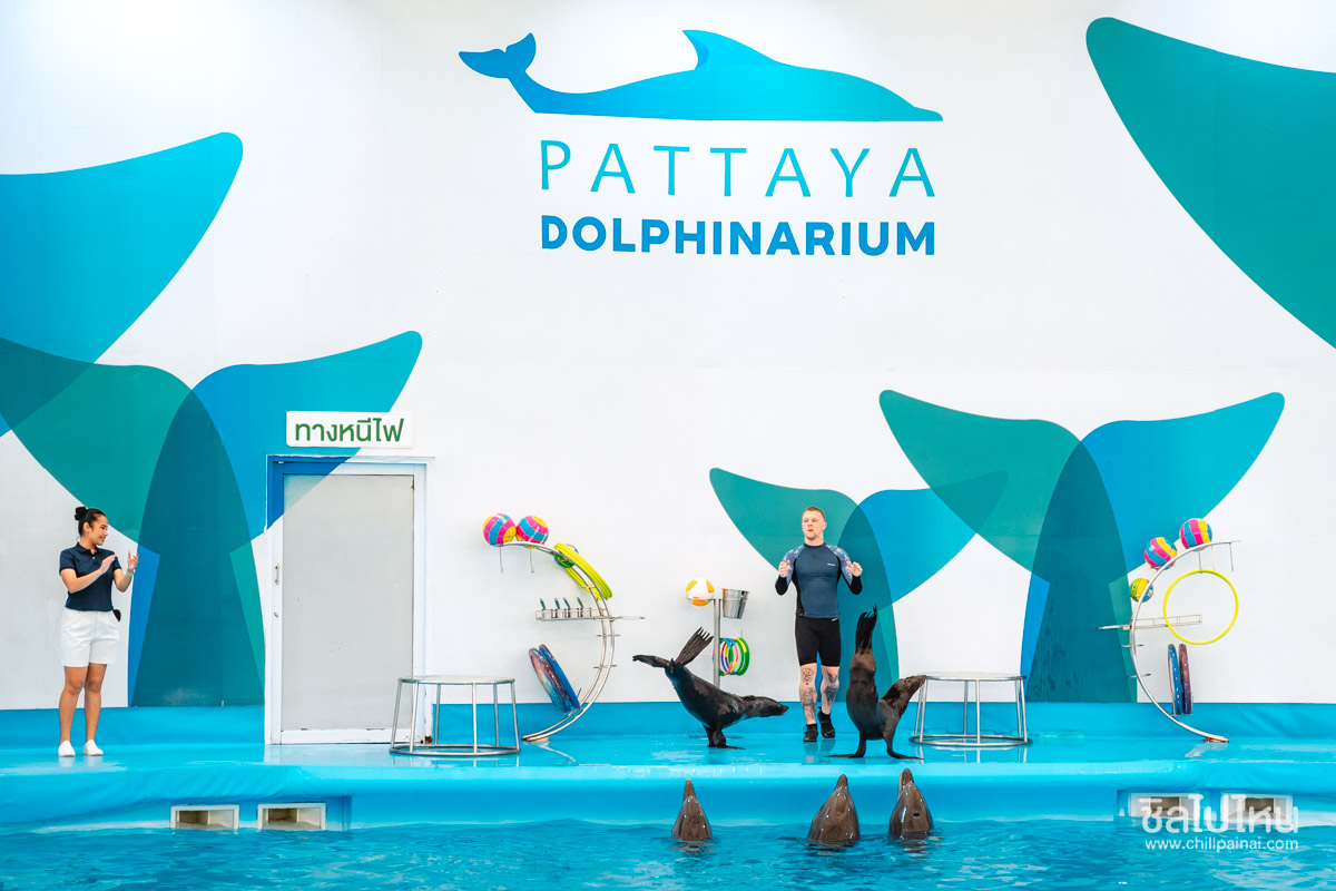 pattaya-dolphinarium-19