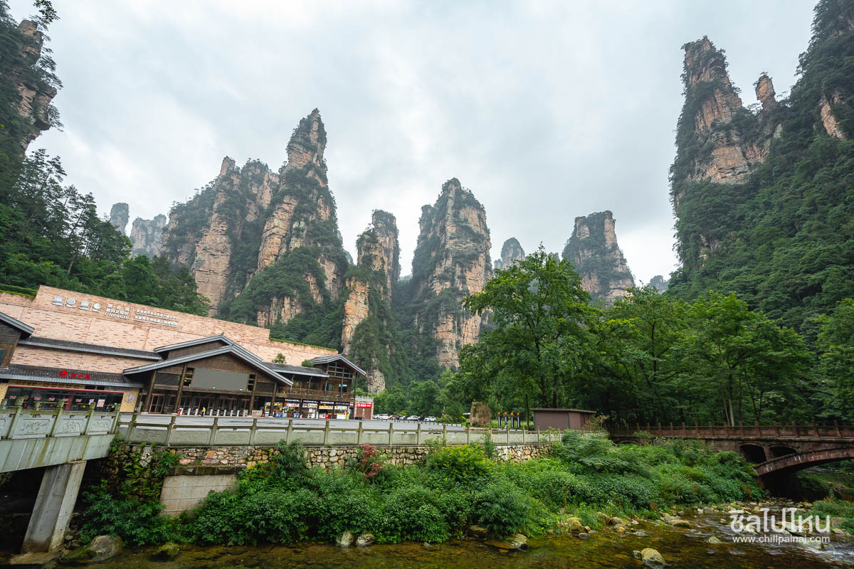 10 ที่เที่ยวเส้นทางจางเจียเจี้ย(Zhangjiajie) จีน อัปเดตใหม่ 2568