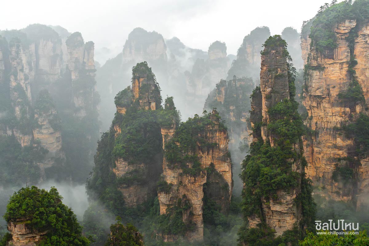 10 ที่เที่ยวเส้นทางจางเจียเจี้ย(Zhangjiajie) จีน อัปเดตใหม่ 2568