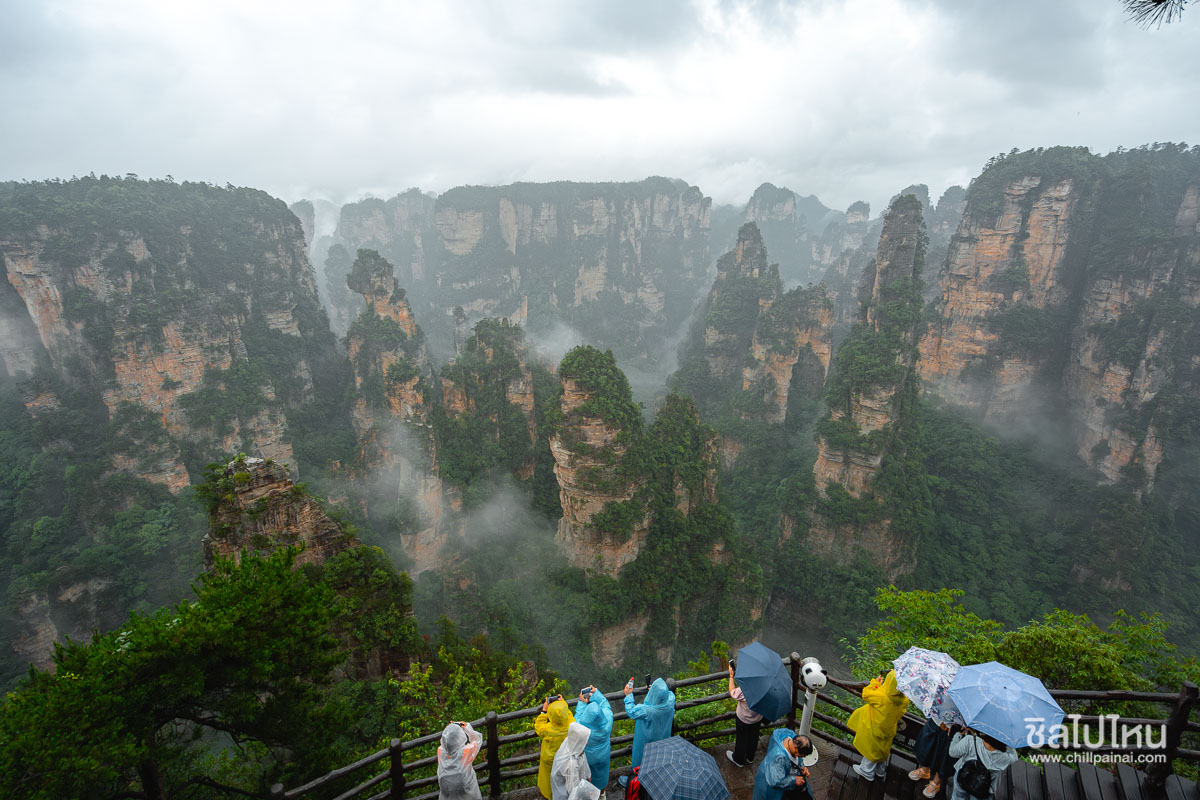 10 ที่เที่ยวเส้นทางจางเจียเจี้ย(Zhangjiajie) จีน อัปเดตใหม่ 2568