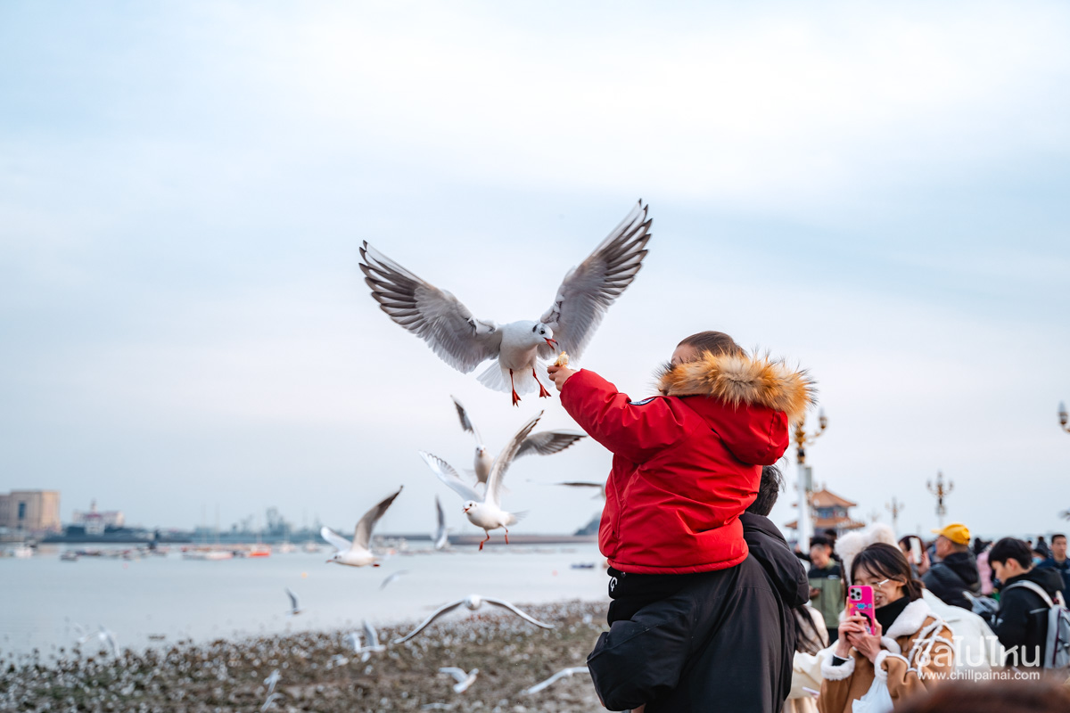 Zhanqiao_Pier_158