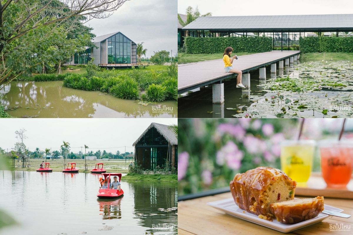 20 คาเฟ่นครชัยศรี นครปฐม มูดดีน่าไป มุมถ่ายรูปเพียบ อัปเดตใหม่ 2568