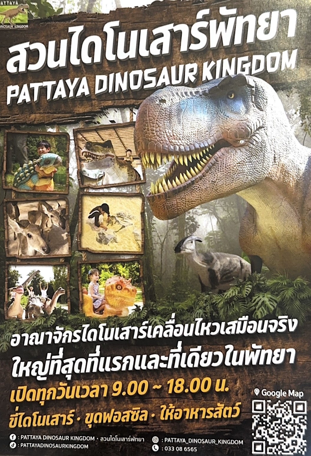 dinosaur pattaya new