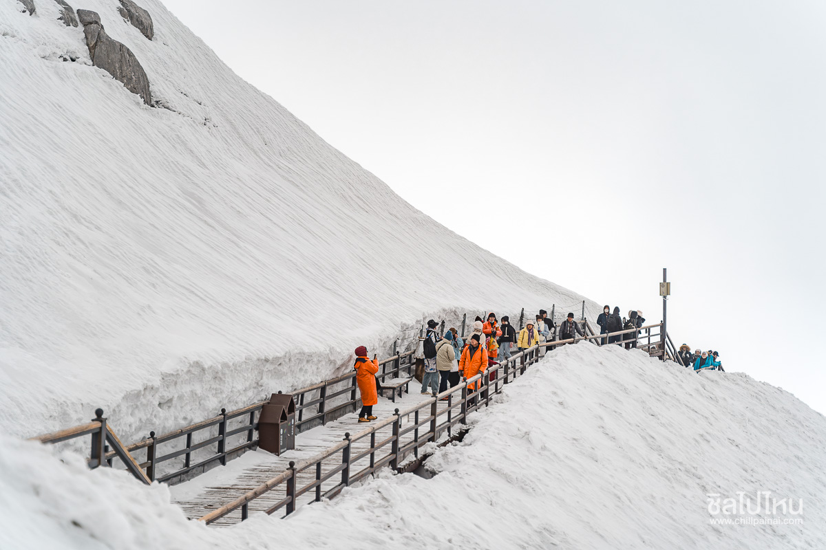 jade_dragon_snow_mountain_24