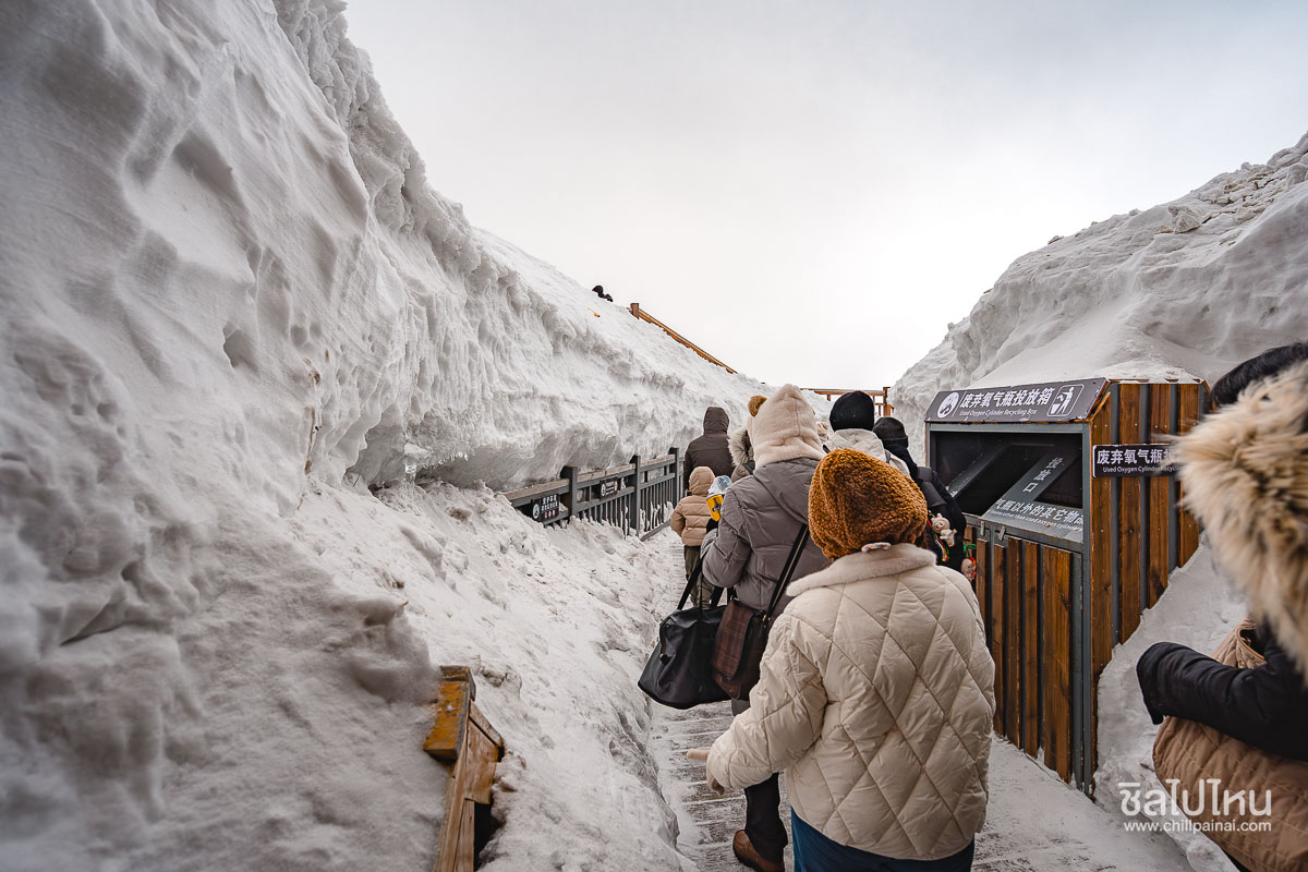 jade_dragon_snow_mountain_9