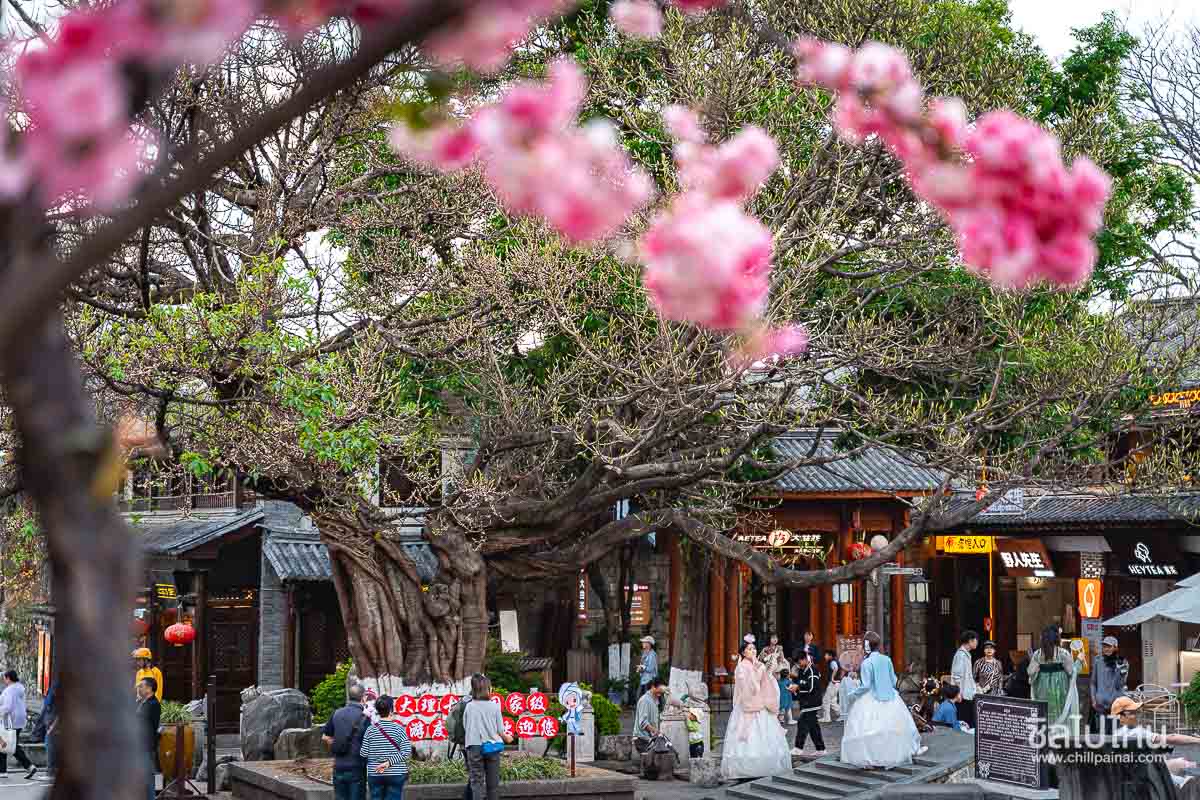 Dali_Culture_Park_8