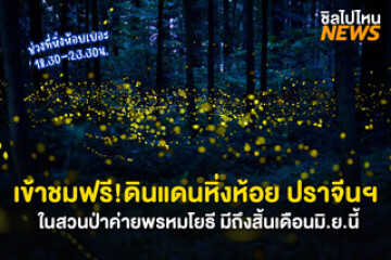 เข้าชมฟรี! ดินแดนหิ่งห้อย ปราจีนฯ 1 ปี มีเพียง 1 ครั้ง ในสวนป่าค่ายพรหมโยธี มีถึงสิ้นเดือนมิ.ย.นี้