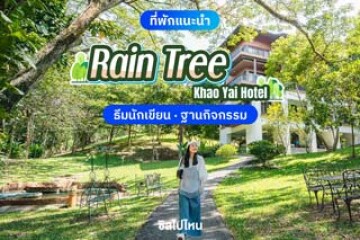 Rain Tree Khao Yai (โรงแรมเรนทรี เขาใหญ่) ที่พักท่ามกลางหุบเขา สไตล์ครอบครัว  มี...