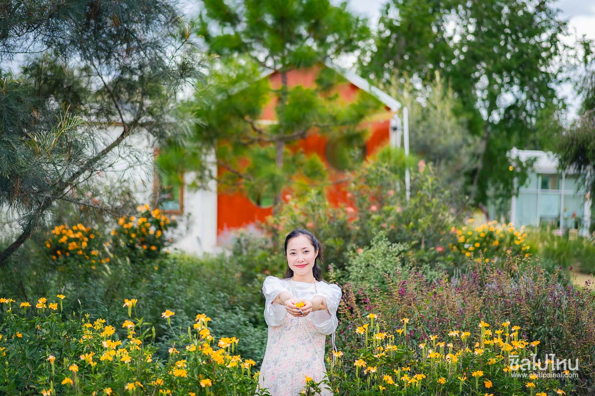 SOL_Glamping_Khaoyai_29
